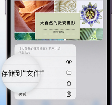 安泽apple维修中心分享iPhone文件应用中存储和找到下载文件