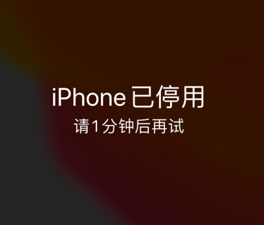 安泽苹果手机维修分享:iPhone 显示“不可用”或“已停用”怎么办？还能保留数据吗？ 