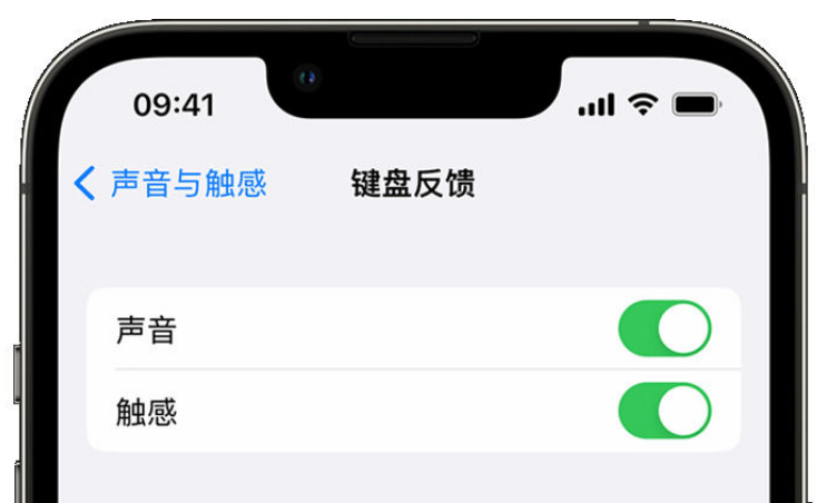 安泽苹果手机维修分享iPhone 14触感键盘使用方法 