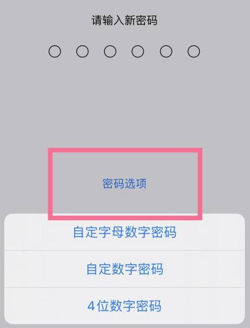 安泽苹果14维修分享iPhone 14plus设置密码的方法 