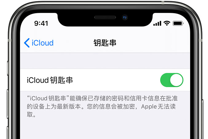 安泽苹果手机维修分享在 iPhone 上开启 iCloud 钥匙串之后会储存哪些信息 